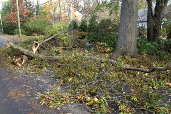 The devastation of Hurricane Sandy forced schools to open for parts of winter break in Tuckahoe and Eastchester.
