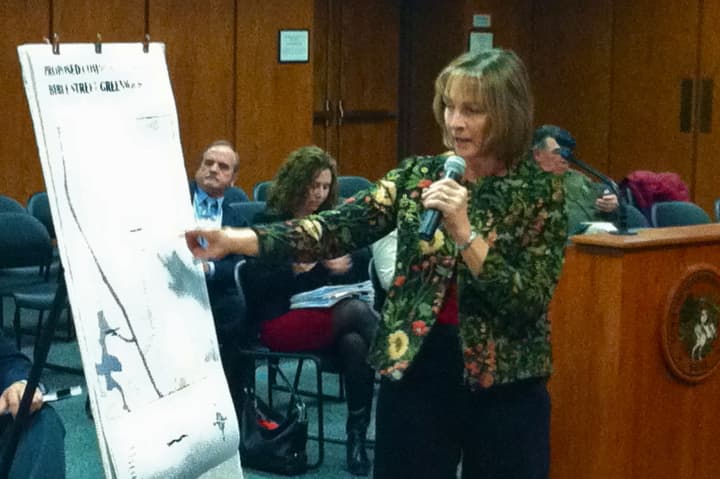 Greenwich Community Garden Vice Chairwoman Terry Browne Kutzen explains the plans for a community garden on Bible Street to the Board of Selectman at Thursday&#x27;s meeting.