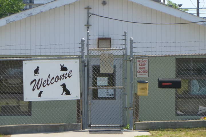 Stamford Helping Paws, a non-profit organization, is now the official fundraising partner for Stamford Animal Control and Care Center. The Center is located on Magee Avenue.