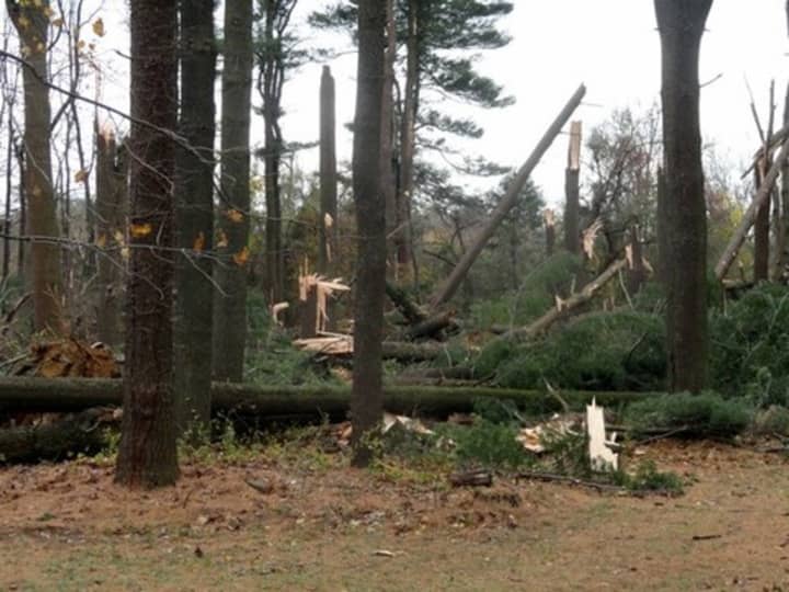 Cleaning up the fallen trees and debris of Wampus Brook Park is only one several capital improvements the town of North Castle plans to make soon.