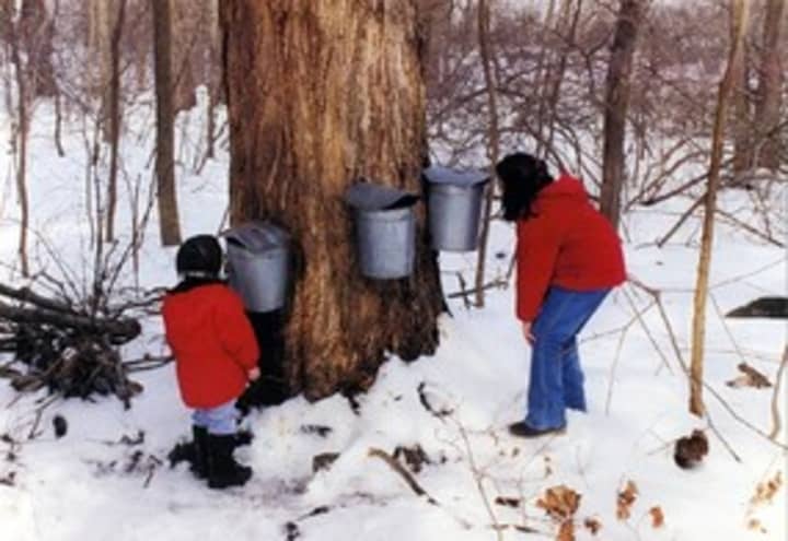 Learn about sugaring this weekend at the Teatown Lake Preserve. 