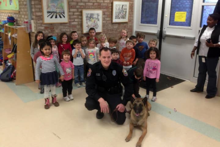 Westport Police Service Dog Koda and his handler Officer James Loomer stopped by Stepping Stones Preschool Tuesday for a demonstration. 