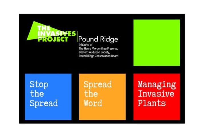 The Invasives Project forum takes place Sunday at Pound Ridge&#x27;s Hiram Hall Library.