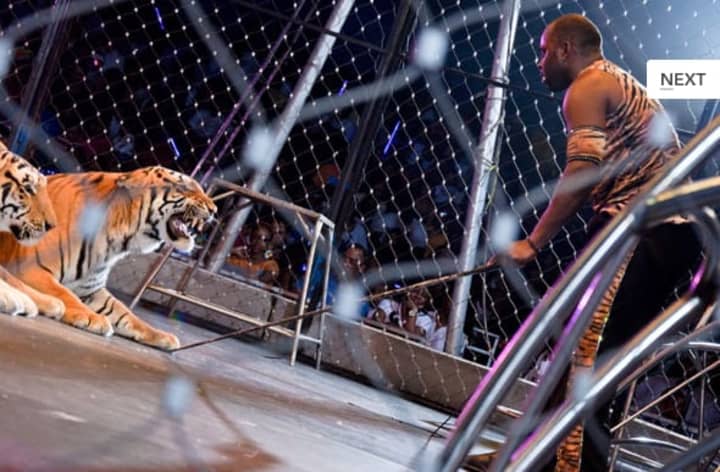 The UniverSoul Circus will collaborate with Mount Vernon for a special evening.