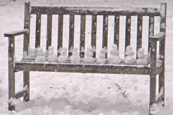 Darien resident Nina Rodriguez, 12, built this row of tiny snowmen with her Aunt Andy during the Feburary storm.	 