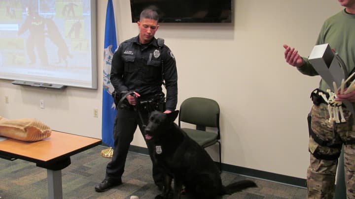 Darien Police Officer Nicholas Aranzullo and K-9 officer &quot;Zulu&quot; give a demonstration during the department&#x27;s recent Citizen&#x27;s Police Academy. 