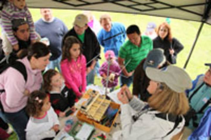 Children and parents learn about bird banding on International Migratory Bird Day at Sherwood Island State Park in Westport last year. The event was part of the Great Parks Pursuit. 