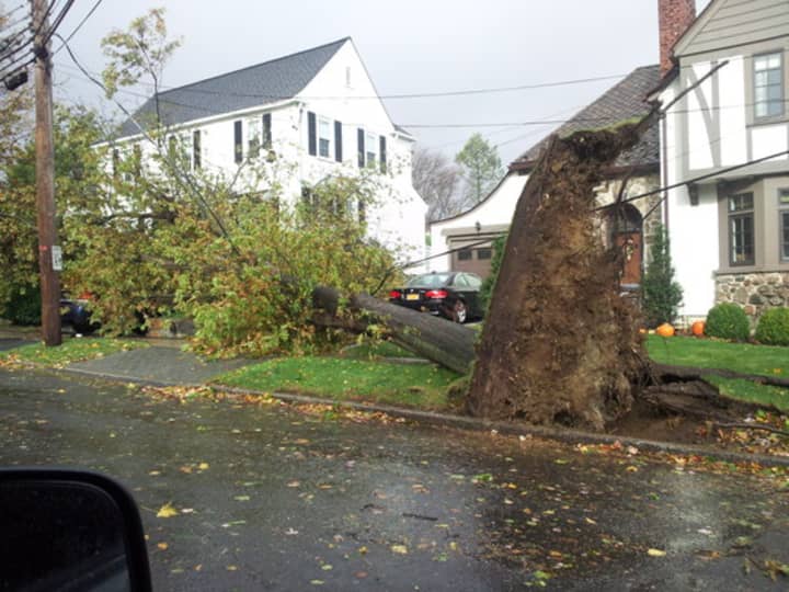Superstorm Sandy caused about 300,000 power outages due to downed trees and power lines. 