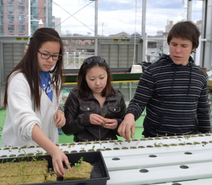 MIT students Natasha Gunther, Kelsey Seto, and Nathan Landman help install a new hydroponic growing system on Yonkers&#x27; Science Barge last month as part of a spring break service trip. 