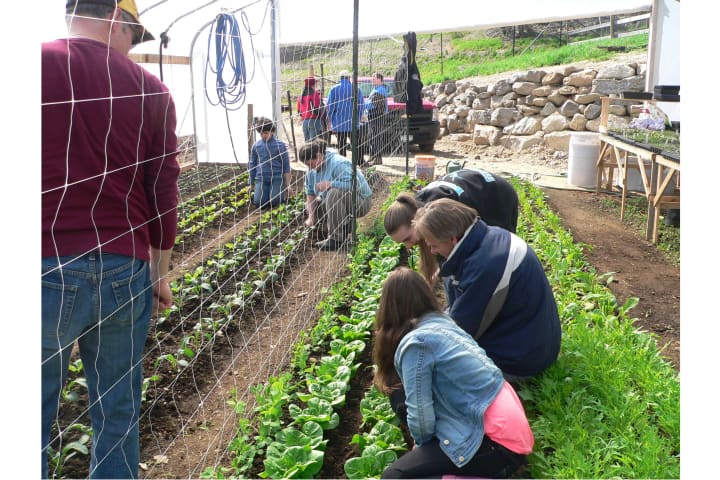 The Northern Westchester 4-H Club worked at Purdy&#x27;s Farmer &amp; the Fish for Earth Day.