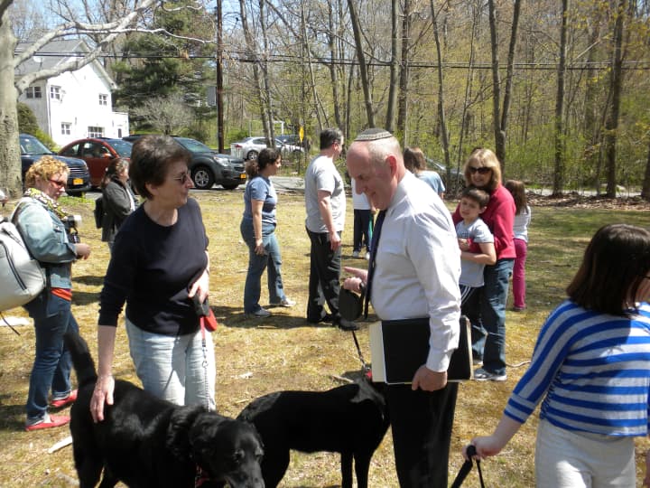 Rabbi Fred Schwalb blesses dogs last Sunday at Hebrew Congregation of Somers annual &quot;Bark Mitzvah.&quot;  