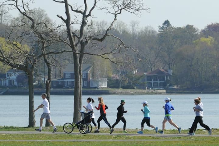 Nearly 300 runners and walkers competed Sunday in the Race Against Lyme at Cove Island Park in Stamford.