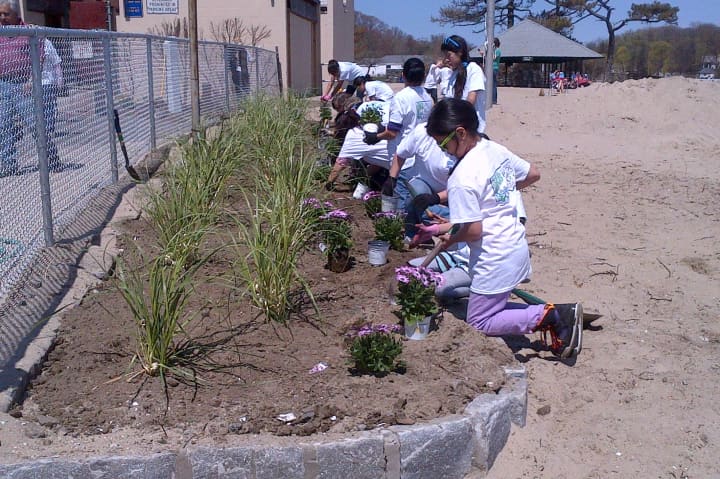 Volunteers plant new flowers and shrubs at Byram Park Beach as part of a beautification effort and recovery from Hurricane Sandy.