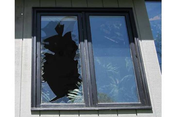 A turkey broke a window of a North Salem home.