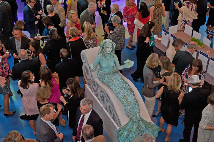 A live mermaid is the centerpiece during the cocktails portion of The Maritime Aquarium at Norwalks Cirque de la Mer fundraiser.