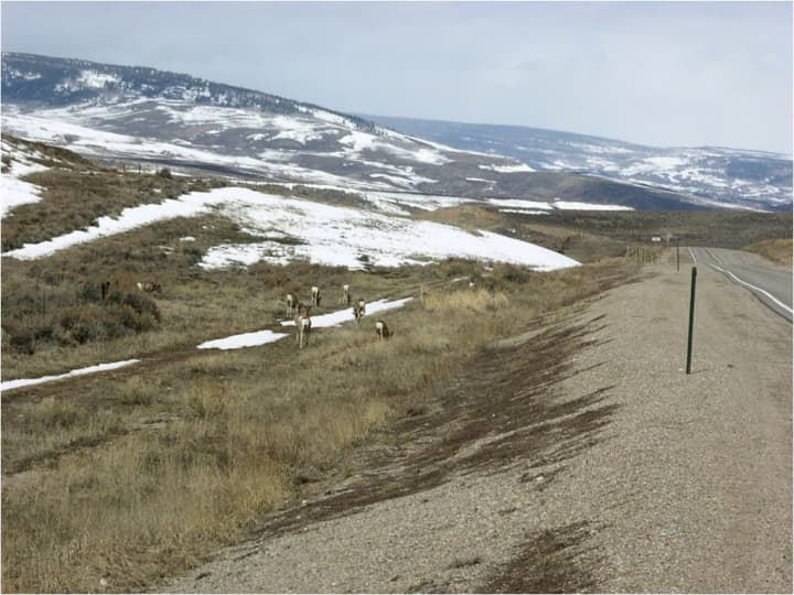 Greenwich billionaire Paul Tudor Jones III has put $4 million into making a Colorado highway safer for animals.
