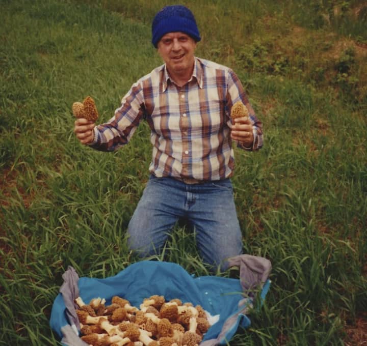 Martin Torgerson, pictured, spent many years hunting morel mushrooms, and now his son, Bill, of New Canaan is looking to make a film about it. 