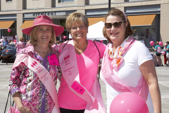 See what to do in Greenwich this weekend, including the Breast Cancer Alliance Walk For Hope.