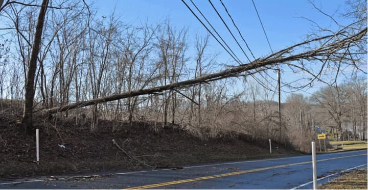 Trees knocked onto wires during Wednesday&#x27;s storm has impacted power service throughout Fairfield County.