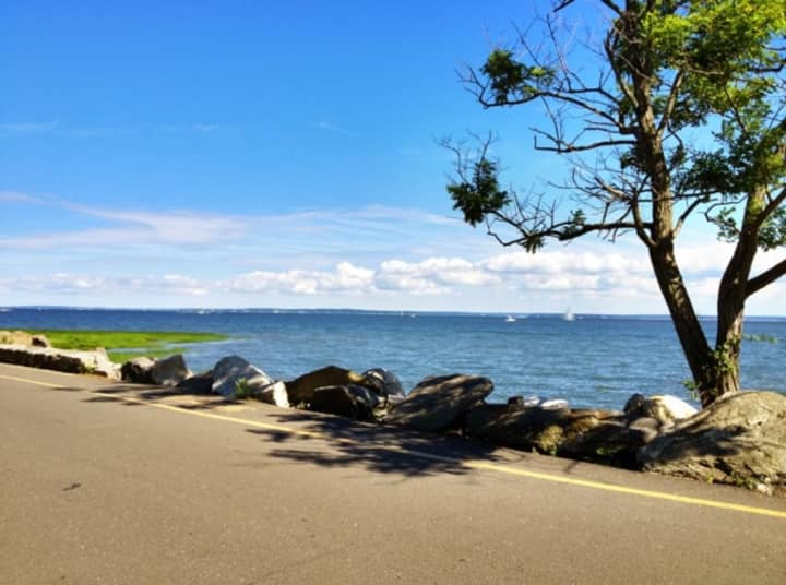 Greenwich Point Park (Tod&#x27;s Point) is a popular spot for Greenwich residents.