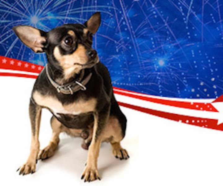 The Norwalk Police Department is reminding residents to keep their pets away from fireworks and securely at home.