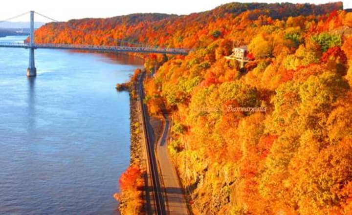 This photo by Fatima Sanwarwalla of Newburgh was chosen as the winner of Central Hudson Gas &amp; Electric Corp.’s third annual Fall Foliage Photo Contest.