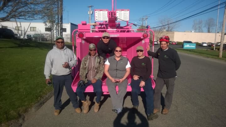 Northeast Horticultural in Stratford founder Stacey Marcell works in a predominantly male-dominated field and industry. The pink wood chipper is a hallmark of the organic plant and tree care business.