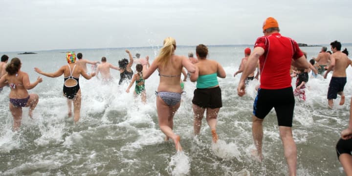 Swimmers take a chilly dip in Long Island Sound on Friday as part of the 13th annual Ray&#x27;s Polar Plunge in Rye.