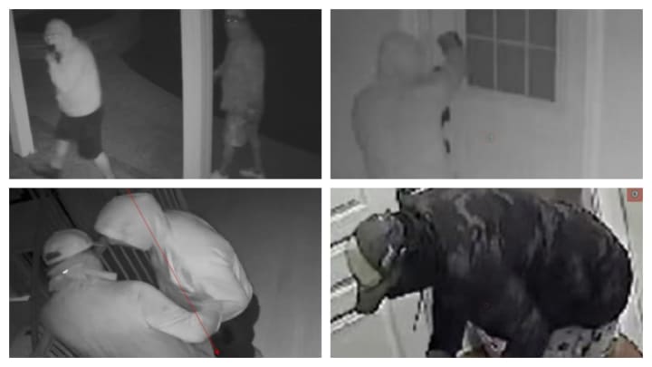 Suspects in the July 11 Lower Moreland burglary