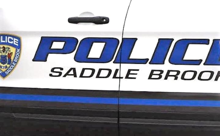 Saddle Brook residents and merchants are urged to call police to report any vehicle burglaries or suspicious activity: (201) 843-7000.