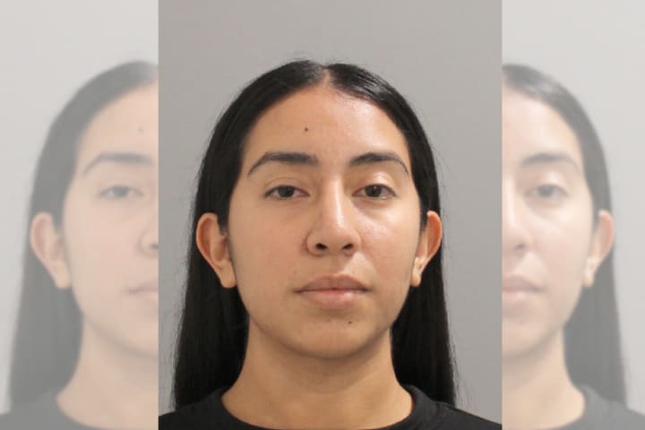 Cricel A. Santamaria, age 24, was arrested for using her status as a bank employee to steal images of checks and sell them online, costing the bank over $100 thousand, police said.