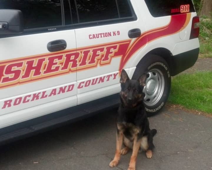 K-9 Shadow, an important member of the Rockland County Sheriff&#x27;s Office, just turned 7.