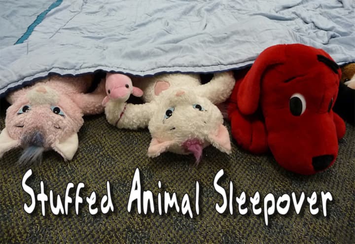 The East Rutherford Library is hosting a stuffed animal sleepover Nov. 5. 