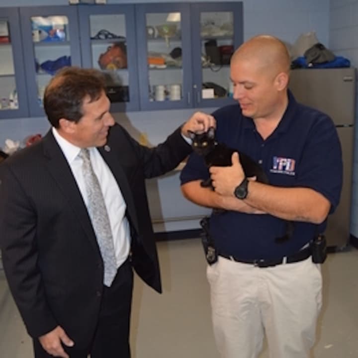 Yonkers Police Officer Wiliam Pataky shows his new rescued kitten to Police Commissioner Charles Gardner.