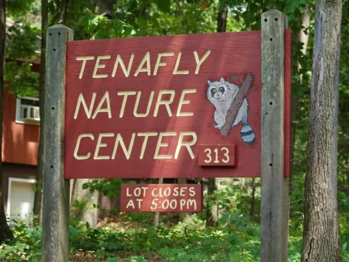 Sunday visitors to the Tenafly Nature Center can learn about the history of maple syrup and learn how to make syrup from sap.