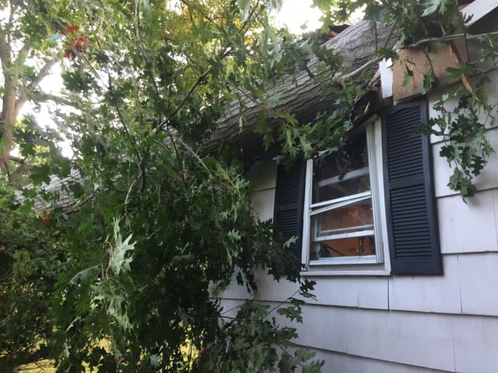 A tree injured a woman and did significant damage to her home Thursday morning.