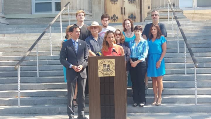 New Rochelle Mayor Noam Bramson and Scarsdale Assemblywoman Amy Paulin on the steps of City Hall announcing the plan to host a Concert Across America to End Gun Violence.