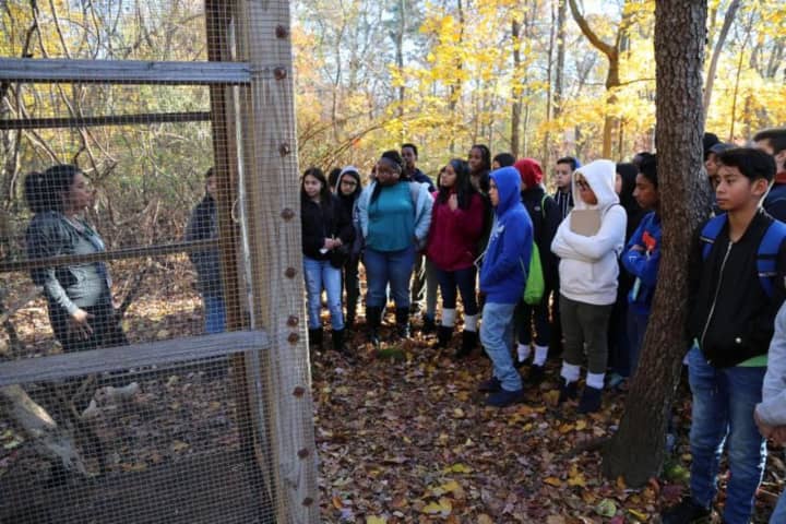 New Rochelle elementary students are being taught lessons at the wildlife preserve.