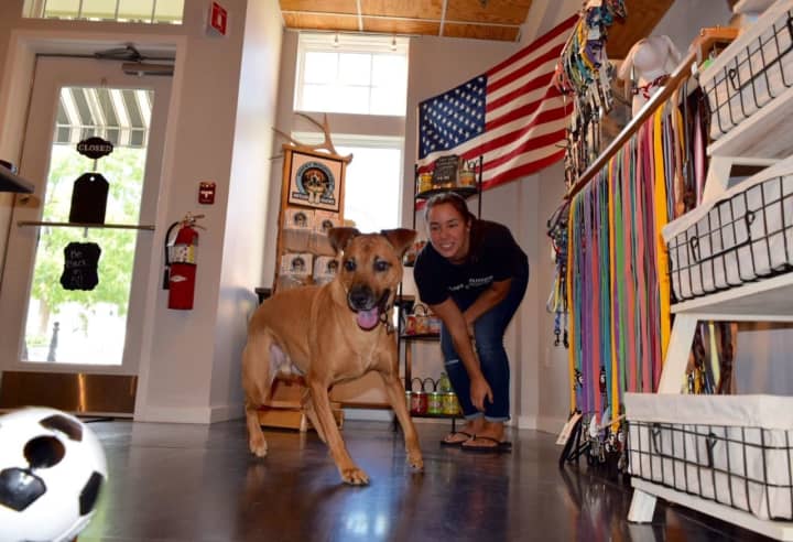 Dana Peterson plays with her dog Dexter at Dexter&#x27;s Dog Boutique.