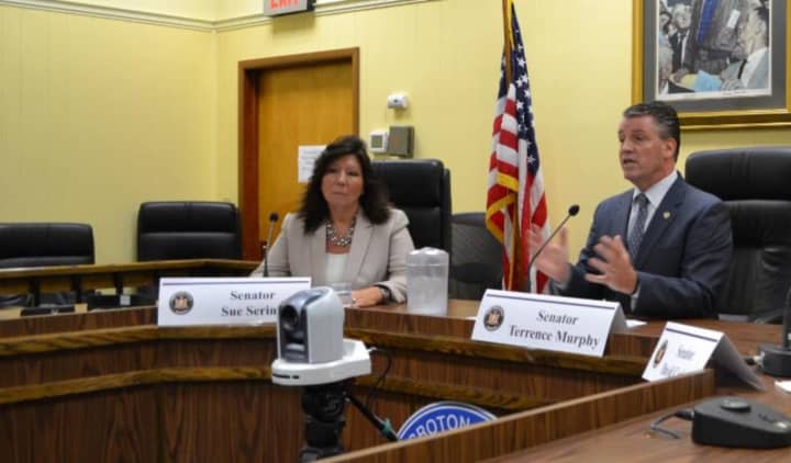State Sens. Sue Serino and Terrence Murphy have called for legislative hearings to investigate delays in utility companies&#x27; response to Winter Storm Riley and prolonged power outages.