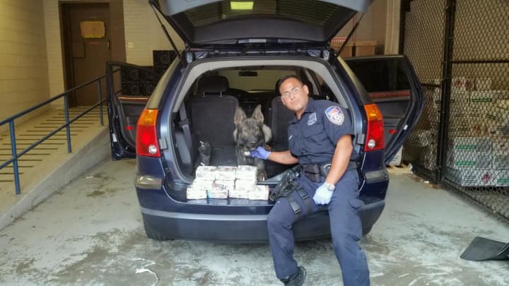 Westchester County Police Officer Gutierrez and Jax made their third major drug bust of the year on the Hutchinson River Parkway in New Rochelle on Thursday.