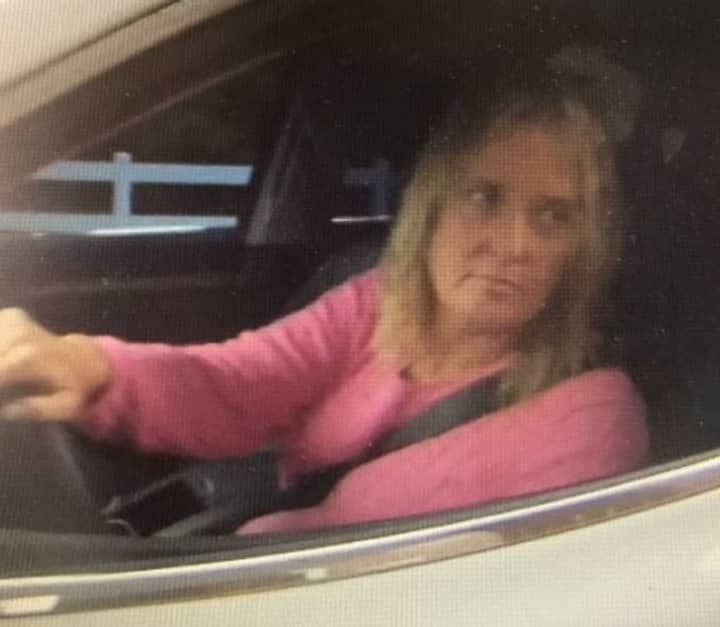 Suffolk County Police investigators are attempting to locate a woman who stole credit and debit cards and attempted to use them at a bank in Commack.