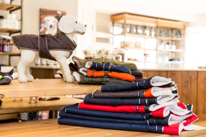 Raleigh &amp; Co. provides the finer things in life for dogs and cats