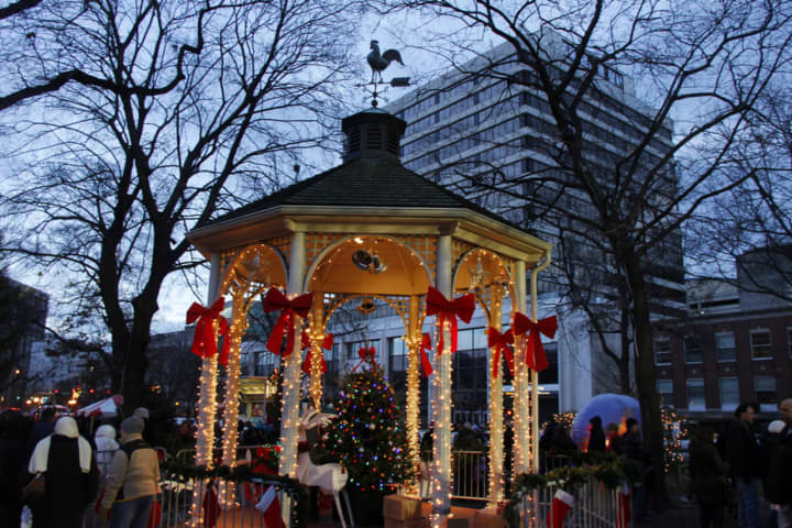 A tree lighting ceremony and holiday celebration takes place at Tibbits Park in White Plains from 4-6 p.m. Sunday.