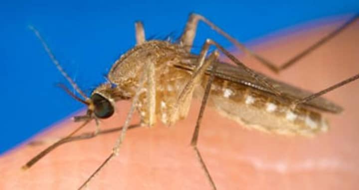 The state Mosquito Management Program announced they have found mosquitoes that have tested positive for the Eastern equine encephalitis virus