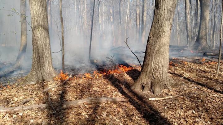 Dry conditions and warm temperatures could increase the risk for brush fires on Tuesday.