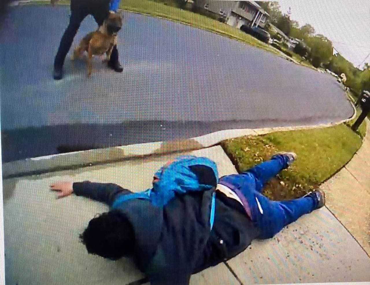 Howell Police Sgt. Bondarew and K9 partner Vito take down Leonardo Larrarte.
