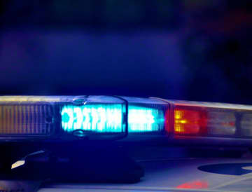 A 44-year-old female pedestrian was struck and killed by a car Sunday night in on the Garden State Parkway, authorities said.