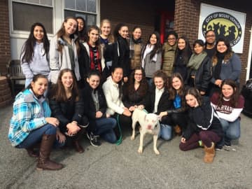 Sleepy Hollow High School students recently visited the Humane Society.