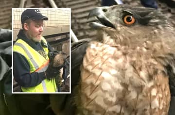 PATH Track Inspector Kevin Ronan with the hawk.